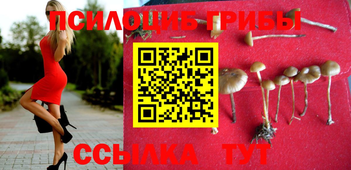 Галлюциногенные грибы мухоморы Иркутск